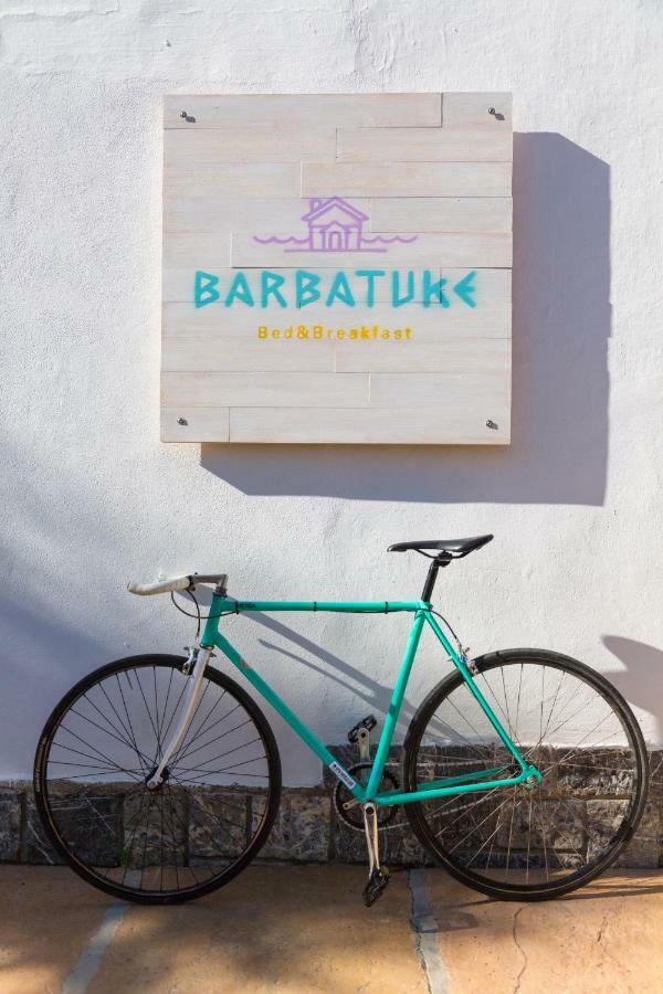 Frühstückspension Barbatuke Eco-homestel *